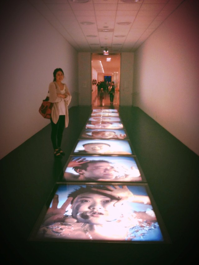 Museum of Fine Arts Houston