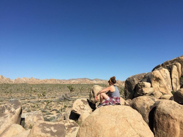 Joshua Tree rocks