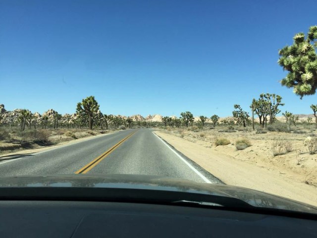Joshua Tree National Park
